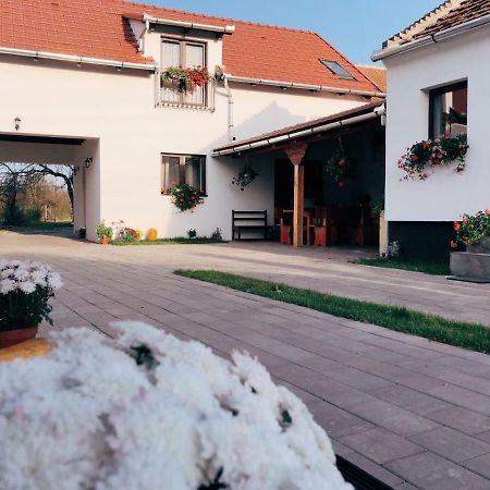 Casa Badea Hotel Riu Alb Eksteriør billede